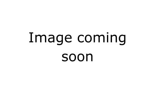 Image coming soon